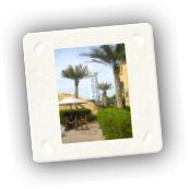 Best_Of_Dubai_2007 (1).jpg